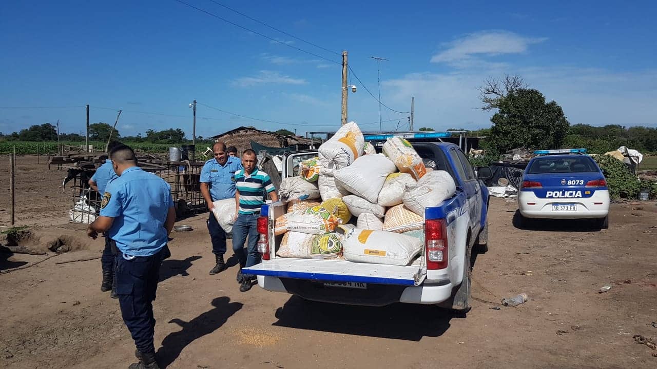 Tránsito: en allanamientos, la Policía secuestró más de 5.000 kg de trigo robados