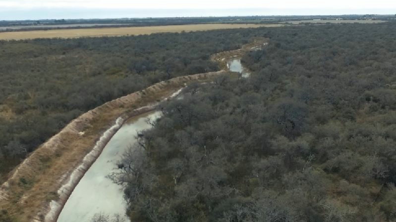 “La Amazonia” de San Justo: una fuente de aire puro que debemos cuidar