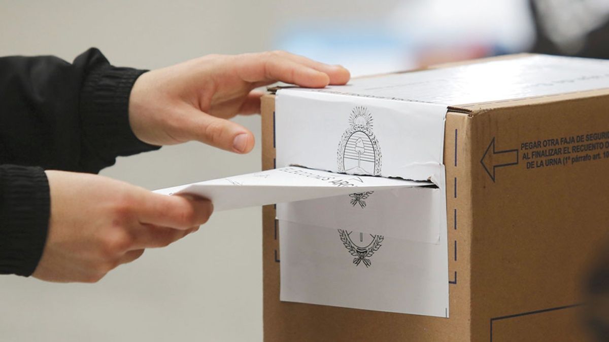 La Junta Electoral reveló los resultados del escrutinio final de las elecciones municipales