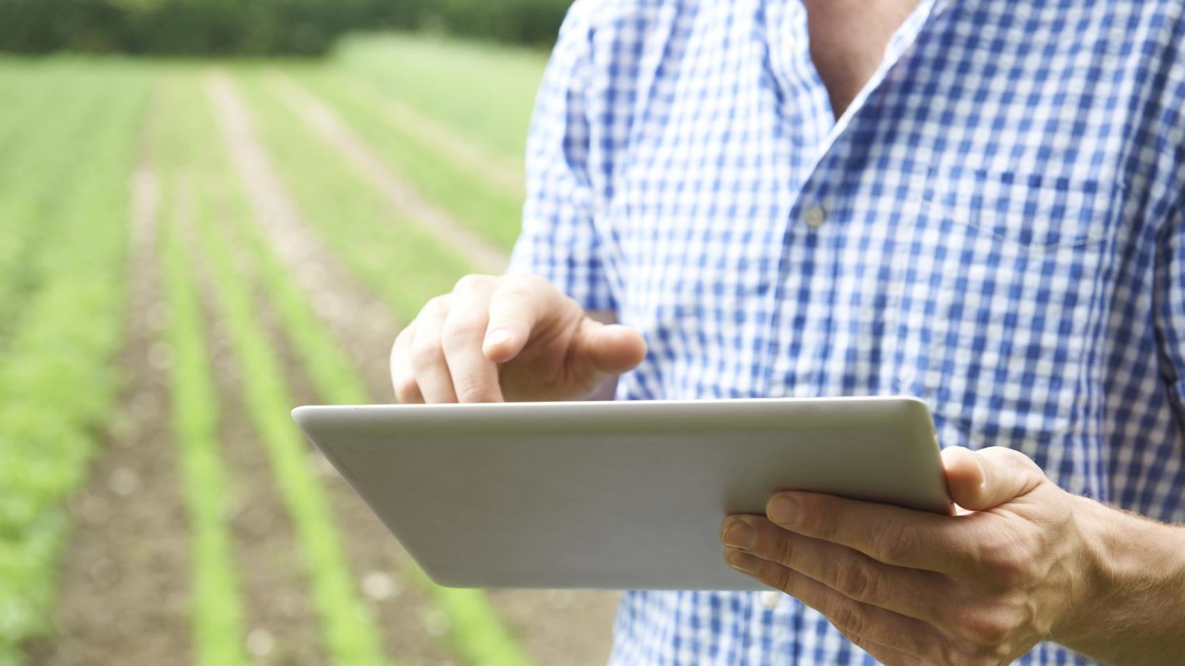 La Sociedad Rural capacitará en Administración de Empresas Agrícolas–Ganaderas