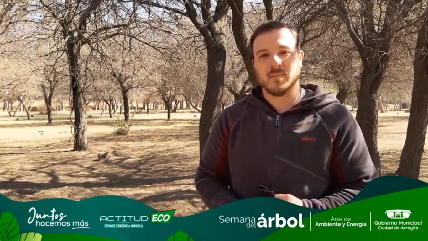 Semana del Árbol: Emiliano Ferace, de Actitud Eco explicó la importancia del arbolado urbano